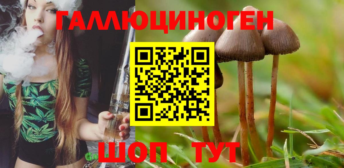 Галлюциногенные грибы ЛСД  Вход с VPN  Тосно 